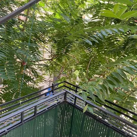 Appartement Joli Studio Orangerie